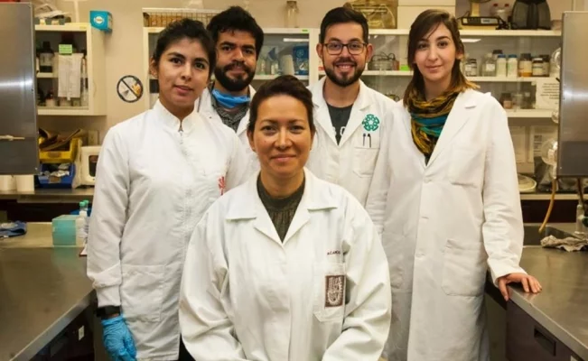 Mexican scientist cures the Human Papilloma Virus