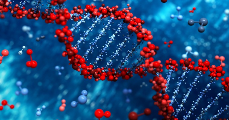 Image result for dna strands