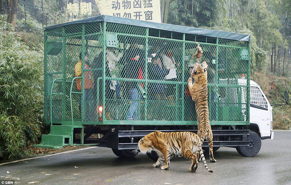 zoo in china